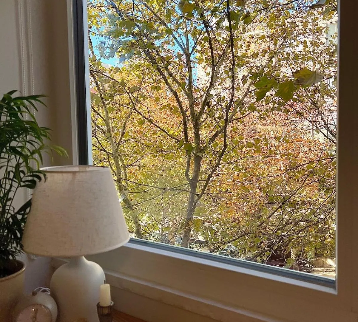 Cozy Studio Near Tirana Center Διαμέρισμα